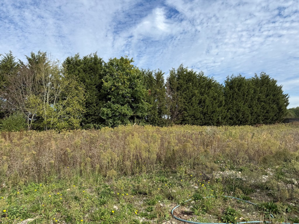 Lot: 26 - LAND IN FAVOURED LOCATION WITH OUTLINE PLANNING FOR SIX DWELLINGS - View of land from north boundary